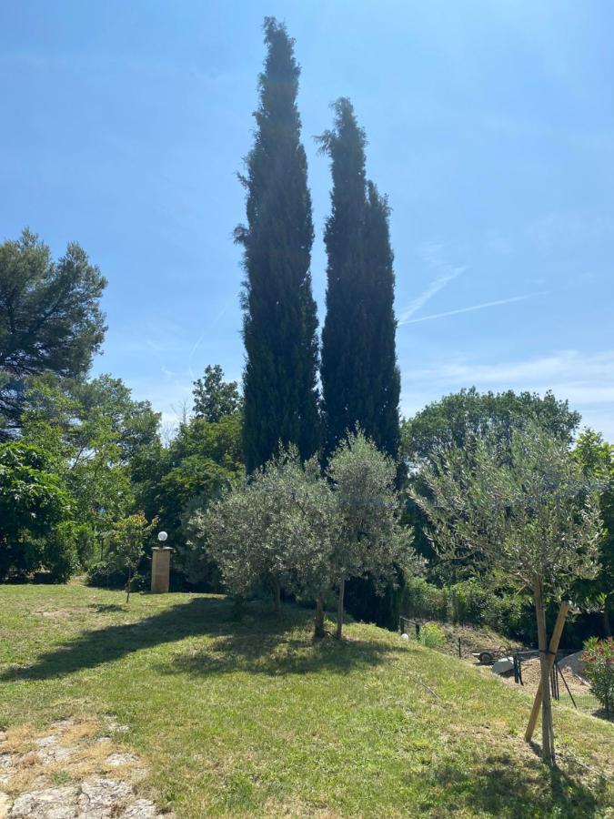 Villa Les Oliviers à Vaugines Extérieur photo
